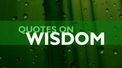 Wisdom Quotes - Part 2 - Top 10 Wisdom Quotes
